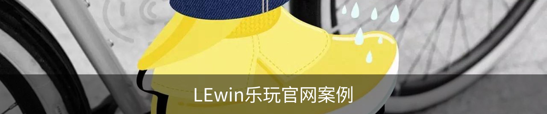 LEwin乐玩官网案例